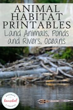 an animal that is floating in the water with text overlay reading animal habitat printables land animals, plants and rivers, oceans