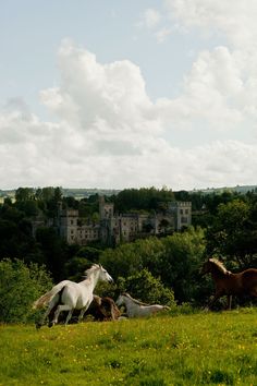 three horses are running in the grass near some trees and buildings on a cloudy day