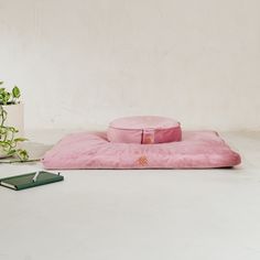 a pink pillow and some plants on the floor