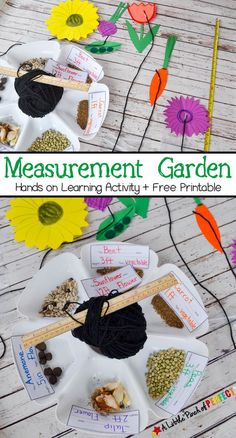 Tiny Seed Activities, Spring Math Activities, Spring Kindergarten, Plant Activities, Measurement Activities, Spring Math, Garden Activities, Math Activities For Kids, Learning Tips