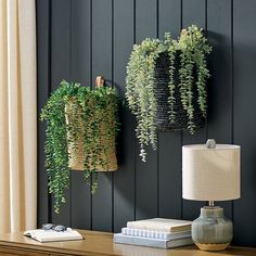 two hanging plants on the wall next to a lamp