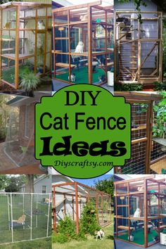 diy cat fence ideas that are easy to make and great for your backyard or garden