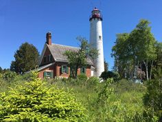 a red and white lighthouse in the middle of some tall green grass with trees around it