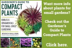 the gardener's guide to compact plants is shown in this advertisement for garden supplies