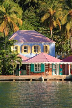 a colorful house on the water with palm trees in the backgrounge and boats out front