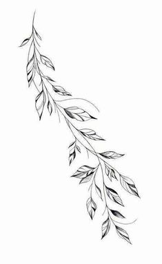 a black and white drawing of a branch with leaves