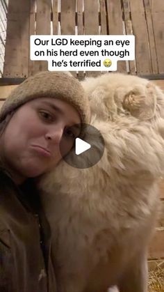 a woman hugging a large white dog in front of a wooden structure with text that reads, our lgd keeping an eye on his herd even though he's terrified