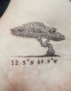 a small tree tattoo on the foot with numbers written below it and an arrow in the center