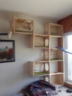 a room with several wooden boxes on the wall and one cat laying in it's bed