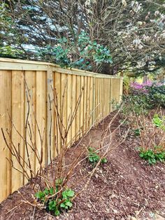 a wooden fence surrounded by mulch and shrubbery