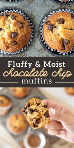 a muffin in a muffin tin with the words fluffy & moist chocolate chip muffins