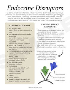 Endocrine Disruptors List, Hormone Hierarchy, Functional Health, Functional Nutrition, Water Therapy, Endocrine Disruptors, Oil Pulling, Health Research, Thyroid Health