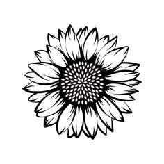 a black and white drawing of a sunflower