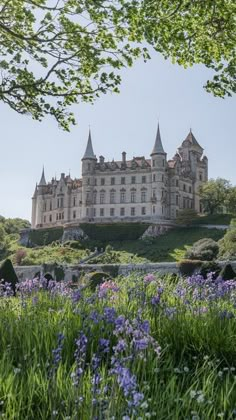 an old castle sitting on top of a hill surrounded by purple and green flowers in the foreground