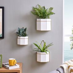 three white planters mounted to the side of a wall next to a table with a yellow cup on it