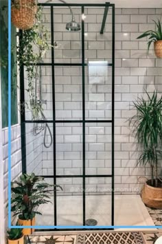 a bathroom with tiled walls and plants in the shower area, along with a rug on the floor