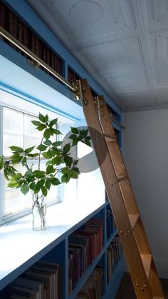 a ladder leaning up against a bookshelf next to a window with a potted plant in it