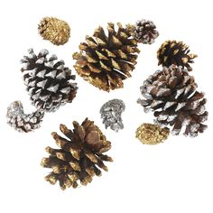 four pine cones are shown in gold and silver