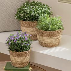 three planters with plants in them sitting on a table