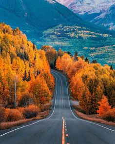 the instagram page on instagram com features an image of autumn trees and mountains