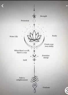 an image of a diagram with the words, water lily and other things on it