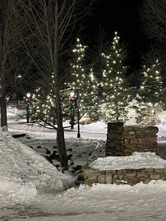 a park bench covered in snow next to trees with christmas lights on the tree branches