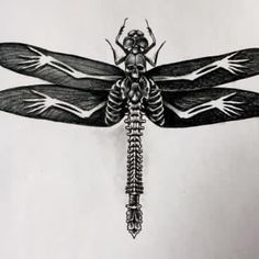 a black and white drawing of a dragonfly