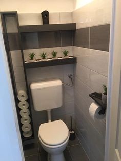 a toilet in a small bathroom with plants on the shelves