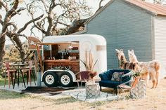 two dogs are standing in front of an old trailer with furniture and decor on it