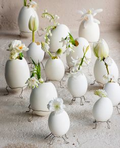 many white eggs with flowers in them on a table