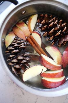 apples, cinnamon sticks and pine cones are in a pot filled with boiling water to make apple cider