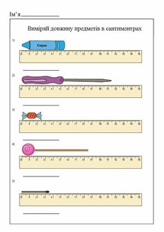 a ruler with different items on it and the words in russian are written below them