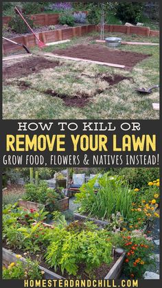 an image of a garden with the words how to kill or remove your lawn grow food, flowers and natives instead