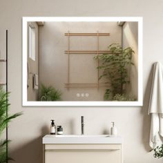 a bathroom with a mirror, sink and plants on the counter top in front of it