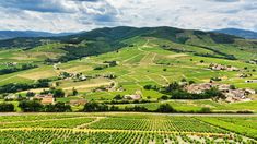 an aerial view of a vineyard in the hills