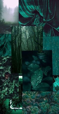 a collage of green and black images