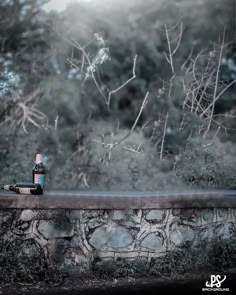 two bottles are sitting on the edge of a stone wall near some trees and bushes