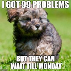 a small dog running in the grass with caption that reads, i got 99 problems but they can wait till monday