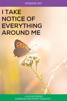 Taking time to notice our surroundings is one of the best. We can see even the slightest changes and be thankful for it. #addictionrecovery #gamblingaddiction #gamblingaddictionrecovery #positivequotes #positiveaffirmation #selfcare #selflove #gamblingpodcast #zumba #yoga #recovery #floral #flowers #healthy Yoga Recovery, Connecting With Nature, Getting Outside, Time In Nature, Be Thankful, Water Flowers, Zumba, Slow Down, Higher Power