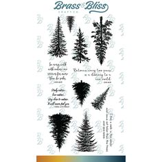 the stamp set features different types of pine trees