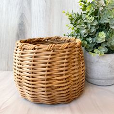 a wicker basket next to a potted plant