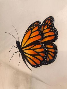 an orange and black butterfly sitting on top of a white sheet