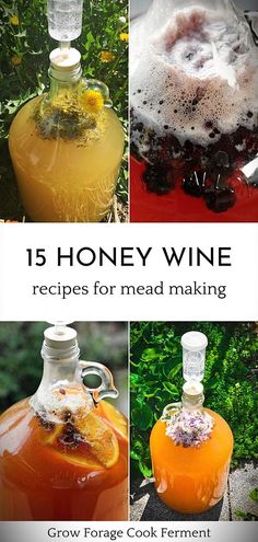 honey wine recipes for mead making, including orange juice and cranberry sauces