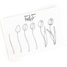 an open notebook with flowers drawn on it and the words how to draw tulips