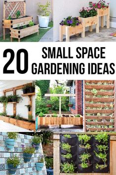 small space gardening ideas for the garden