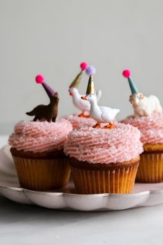 three cupcakes with pink frosting on a plate