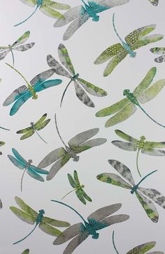 Sample Dragonfly Dance Wallpaper in green and gray from the Samana Collection by Matthew Williamson Dragonfly Wallpaper, Dance Wallpaper, L Wallpaper, Trellis Design, Wallpaper Direct, Wallpaper Collection, Matthew Williamson, Wallpaper Online, Burke Decor