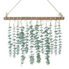 some green plants hanging from a wooden beam