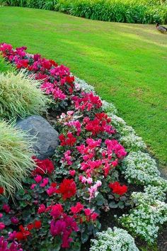 colorful flowers line the edge of a garden