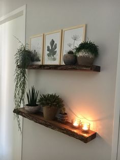 two wooden shelves with plants and candles on them